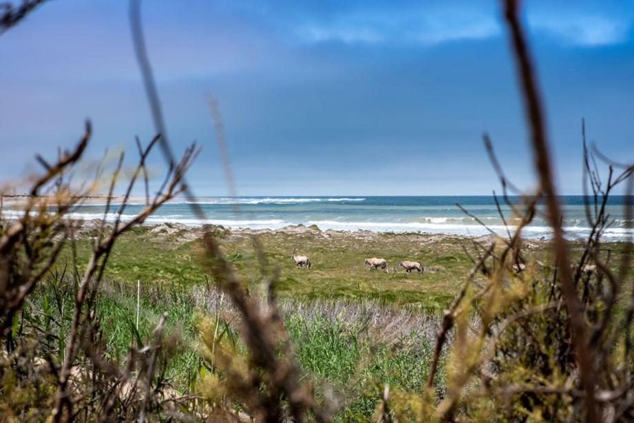 Shipwreck Lodge Mowebaai Extérieur photo